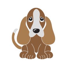Basset Hound