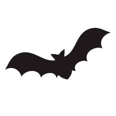 Bat