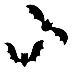 Bats