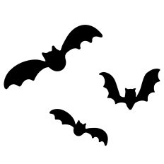 Bats