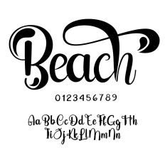 Beach Script Font