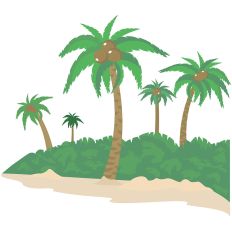 Beach Scene Palm Tree 01