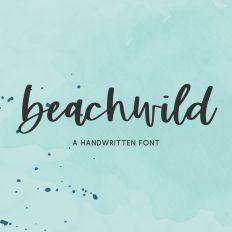 Beachwild Script