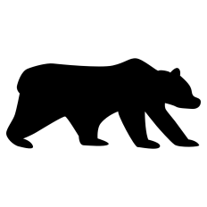 Bear Walking Profile