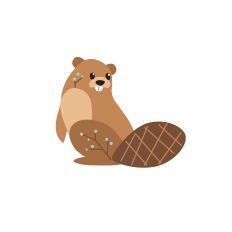 Beaver