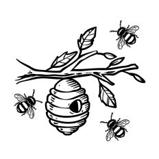Beehive on Tree Branch