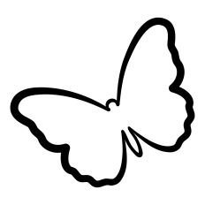 Summer Butterfly