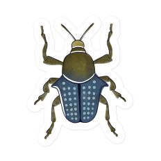 Boy Beetle