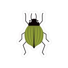 Green Beetle