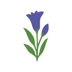 The Floral Collection - Bellflower
