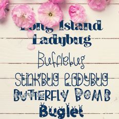 Best of Bugs Font Bundle