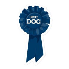 Best Dog Blue Ribbon