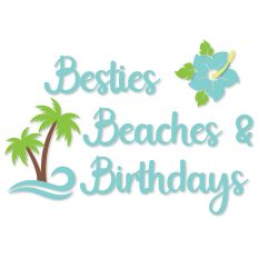 Besties Beaches and Birthdays, Best Friends Trip