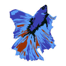 Betta Fish