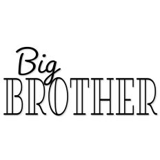Big Brother