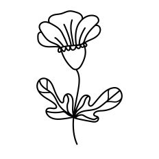 Hand-Drawn Lily Flower with Broad Leaves SVG – Elegant Botanical Line Art for Silhouette Studio
