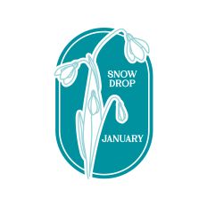 Birth Flowers January Snow Drop