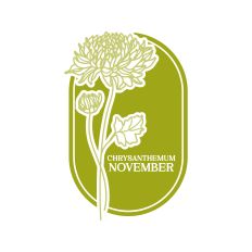 Birth Flowers November Chrysanthemum