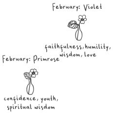 Birth month flowers February: Primrose and violet
