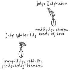 Birth month flowers July: Delphinium and water lily