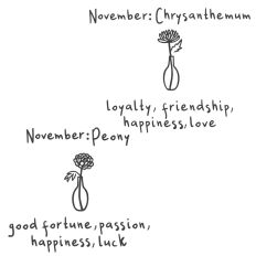 Birth month flowers November: chrysanthemum and peony