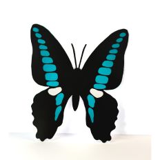 Blue and Black Butterfly