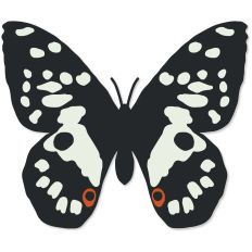 Black and White Butterfly