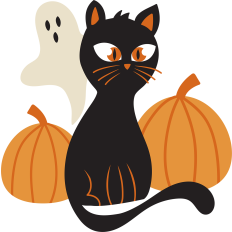 black cat