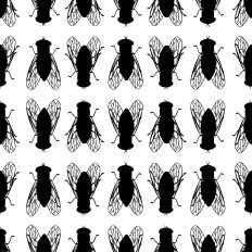 Black White Fly Pattern