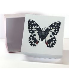 Black and White Butterfly Box