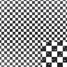 Black and White Glittered Check 