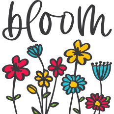 Bloom Colorful Flowers