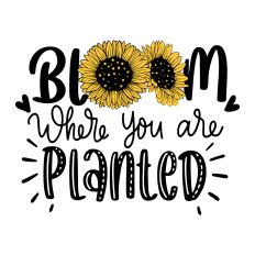 Bloom where you are planted SVG Quote