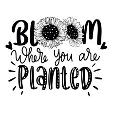 Bloom where you are planted SVG Quote