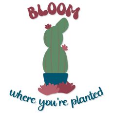 Bloom Where You're Planted, Potted Cactus