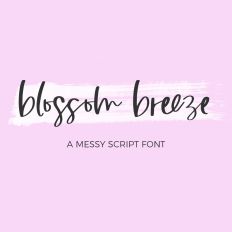 Blossom Breeze Script Font