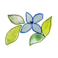 Watercolor Flowers