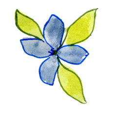 Watercolor Flower