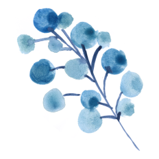 Watercolor Leaves