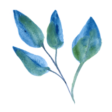 Watercolor Blue Leaves