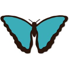 Blue Morpho Butterfly