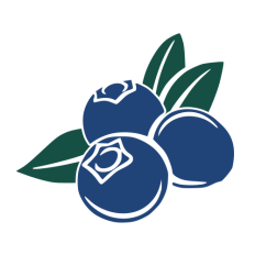Blueberries