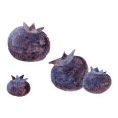 Watercolor Blueberry