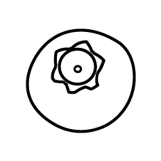 Blueberry Outline