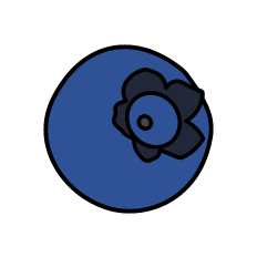 Blueberry