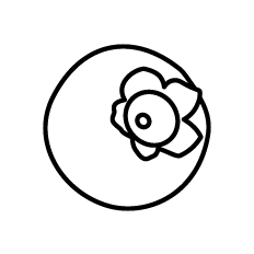 Blueberry Outline