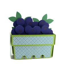 Blueberry Box Card