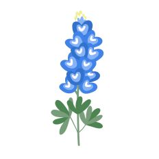 Texas Bluebonnet Flower Layered