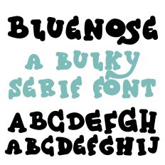 ZP Bluenose