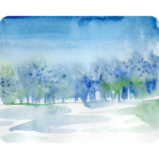 Watercolor Blue Forest Backgroud 